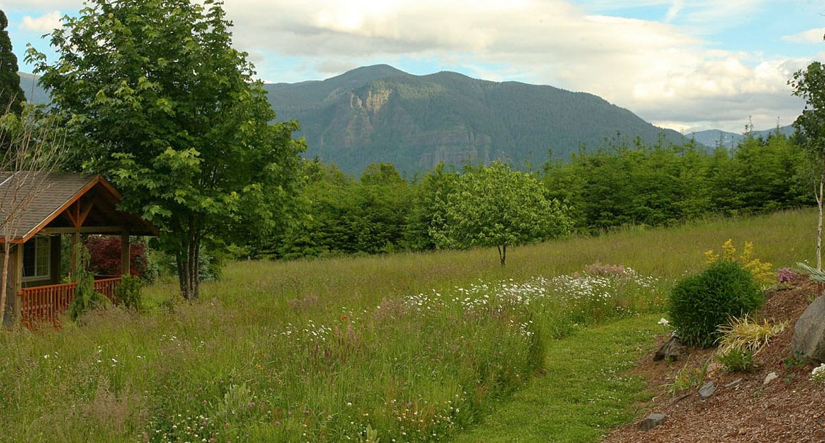washington cabin rentals green lodging carson ridge washington cabin rentals green lodging carson ridge